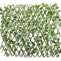 Wall Decor Green Leaves with Branches 5.5 Foot by 2.5 Foot-Extension Type Garden Building Fence Artificial Green Leaf Branch. 