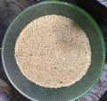 1 kg organic Cheena Moti Kangni ,white cheena ,Yellow Millet, Millet Seeds, Birds feed,Birds food,Seed for Canaries,Finches,Waxbills, Budgies, Lovebirds cocktail, Alexandrine parakeet,Parrots, Australian parrots,raw,ringneck and Other similar birds. 